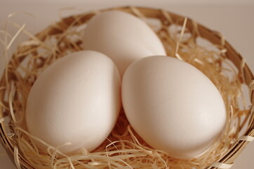 カゴに入ったニワトリのタマゴ（鶏卵）