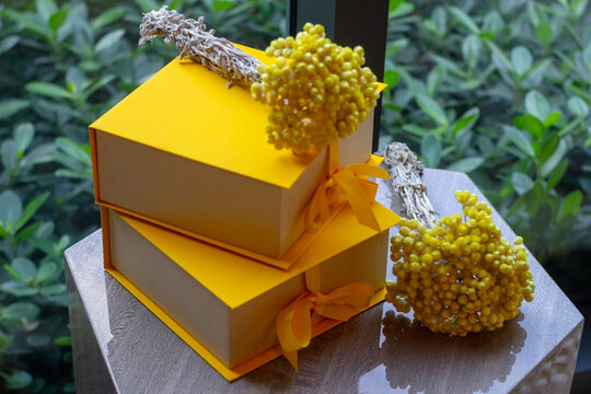 Cajas Amarilla Para Regalos Con Ramas De Mimosa Tierna Y Esponjosa Encima, Bienvenida Para Dia Especial.