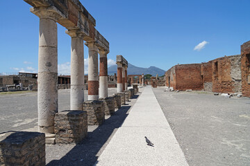 Pompeii famous ancient city buried under ash during volcano Mount Vesuvio major eruption, popular...