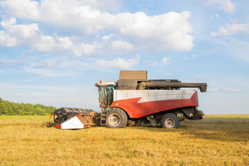 Fototapeta premium old combine harvester harvests from the field
