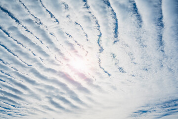 2020,10,18志賀高原紅葉の田ノ原湿原のうろこ雲