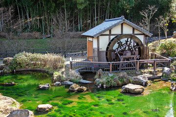 Fototapeta na wymiar 水車小屋　稲城市｜上谷戸（かさやと）親水公園の水車小屋の池コケの緑の上に浮かび上がったように見えます