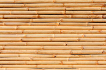 Bamboo fence or wall for background, bamboo row texture and pattern