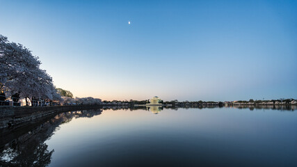 Thomas Jefferson Memorial and cherry blossoms