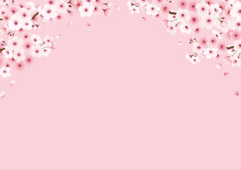 Fototapeta na wymiar 桜の手描きフレーム　横　ピンク背景　上