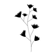 vine leaves isolated on white