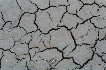 Horizontal surface detail of cracked mud.