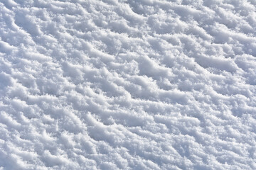 Fototapeta na wymiar White snow background in sunny winter day