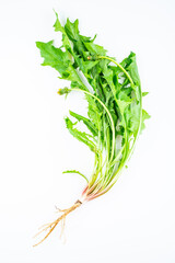 Spring seasonal wild vegetable dandelion