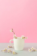 Obraz na płótnie Canvas Sakura and cafe, Spring drink, Japanese drink, etc. 桜とカフェ、春の飲み物、日本の飲み物