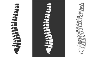 Side view of the spine on a white and black background. illustration