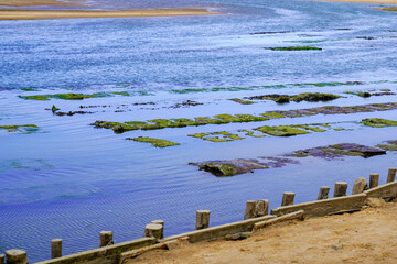 Oyster farm with growing oysters in mesh bag underwater of atlantic ocean coast sea in Talmont France