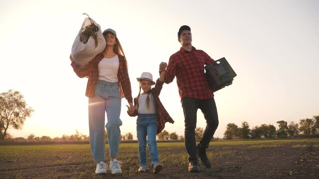 Farmer and happy family. Senior farmer in wheat field with box of vegetables. Happy family in field at sunset. Senior farmer with his family is harvesting. Happy family hiking. Farmer checks the crop