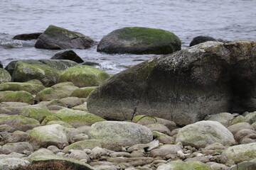 Rügen, Ostsee, Kap Arkona, Mecklenburg, Vorpommern