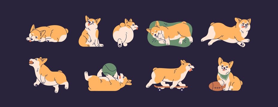 Set Of Cute Little Corgis Playing, Lying, Sleeping And Running. Funny Active Dog Or Puppy. Front, Back And Side View Of Adorable Crazy Doggy. Colored Flat Vector Isolated Illustration Of Happy Pet