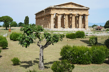 Paestum Archaeological Park with ruins of ancient greek city with temples and traditional garden,...