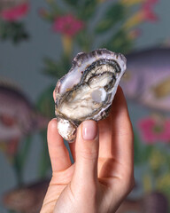 Live oyster flap in hand. 