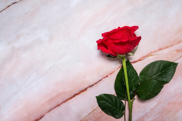 Single red rose on a red marble background with copy space and room for text