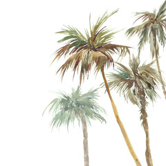 Fototapeta na wymiar Watercolor pailm trees card design. Oasis illustration isolated on white background