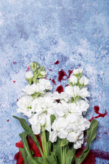 White flowers with splatters of blood on a blue textured background with copy space and room for text