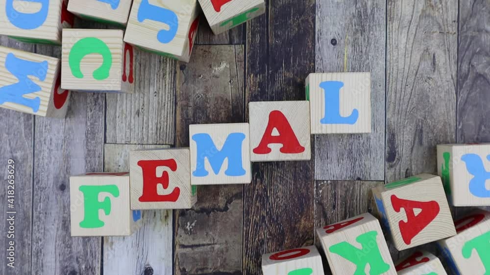 Poster colourful alphabet letters on wooden cubes with word - female - in a diagonal line with additional b