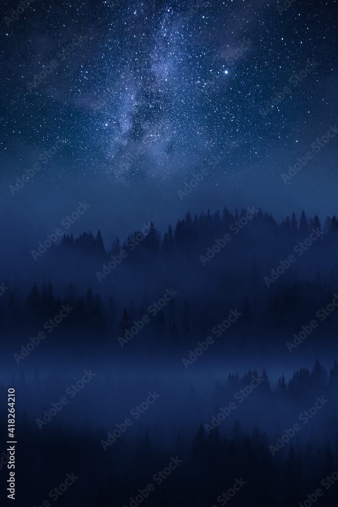 Wall mural fog in forest and milky way in sky
