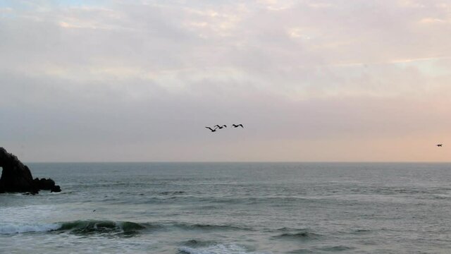 Slow motion fade in shot of silhouette birds flying over sea against sky at sunset - San Francisco, California