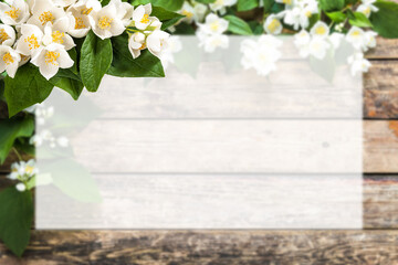 Spring card with jasmine flowers and place for text