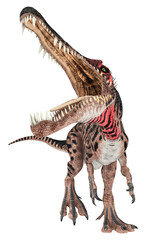 Fototapeta na wymiar Dinosaurier Spinosaurus, Freisteller