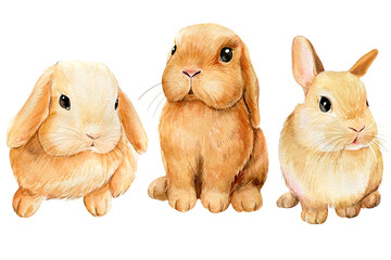 Bunnies on an isolated white background, watercolor painting