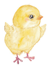 Watercolor Easter clipart. Colored Easter eggs and Cute yellow chicken.