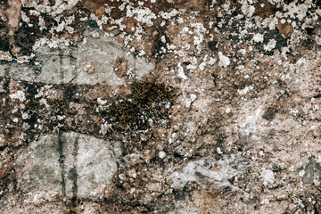 Steinwand mit alten putz und moos 
