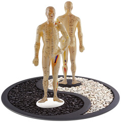 mannequins d’apprentissage d’acupuncture chinoise sur symbole yin yang 