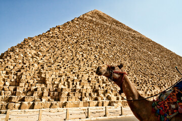 Piramide d'egitto