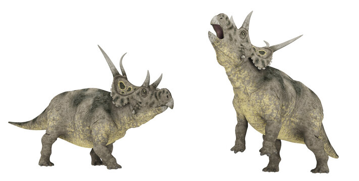 Dinosaurier Diabloceratops, Freisteller
