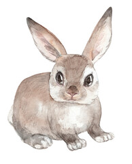Watercolor clipart with Easter bunny. Decor for greeting cards and gift wraps for the Easter holiday.
