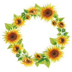 wreath of sunflowers on a white background watercolor