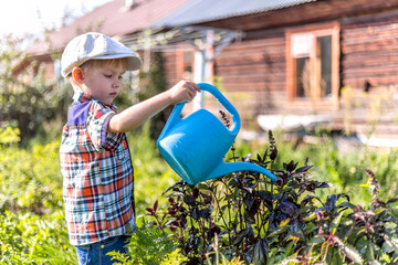 the child waters the garden helps parents