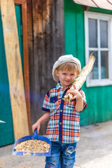 the child cuts wood with an axe and throws it into a pile