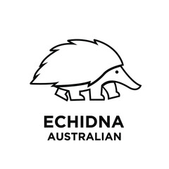 australian echidna vector black line logo icon illustration design isolated white background
