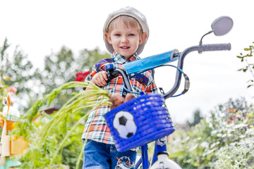 a child rides a bicycle with a basket for transporting vegetables, in which there is a carrot from the garden