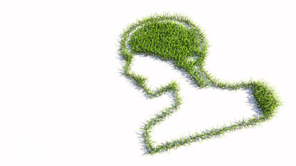 Concept or conceptual green summer lawn grass symbol shape isolated on white background, sign of  human brain.  A 3d illustration metaphor for science, intelligence, anatomy, neurology, brainstorming
