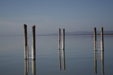 Am Neusiedler See