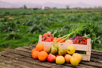 box with vegetables and fruits in a crop field
