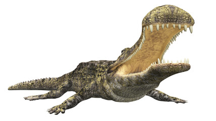 Prähistorisches Krokodil Sarcosuchus, Freisteller