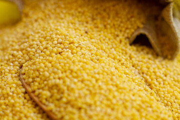 millet isolated on white background.
millet in a wooden spoon and a small bag