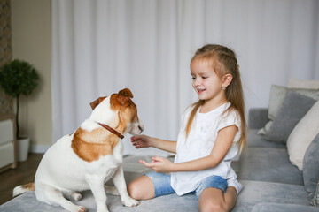 Happy child with a dog. Portrait of a girl with a pet. The child plays and hugs the puppy. Little girl and a puppy on the couch. Pet at home. Taking care of animals.