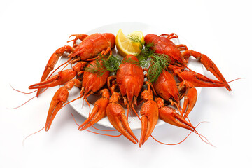 Plate of crayfish isolated on white