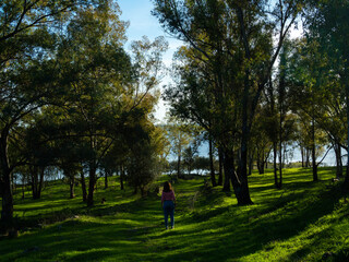 Obraz premium Woman in pink sweater in a forest with big trees in spring