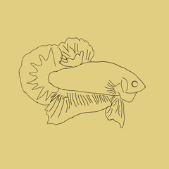 illustration of a fish